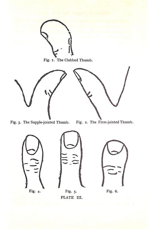 A Guide To the Hands